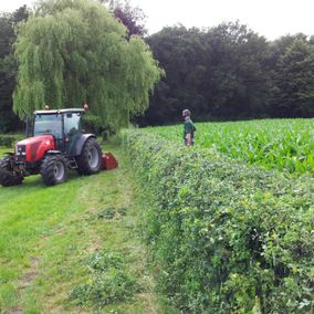 Werkzaamheden grasveld