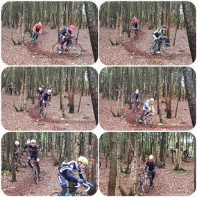 Collage mountainbiken